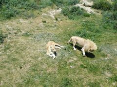 -新疆天山野生动物园