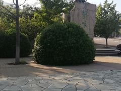 -北京鹫峰国家森林公园