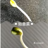 最近貌似有点和豆芽菜“杠”上了