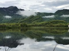 -大九湖