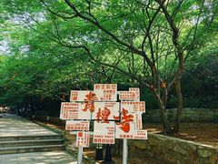-青檀寺景区