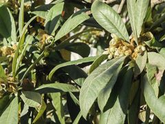 -杭州西湖风景名胜区-满觉陇四眼井