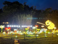 -大塘金香草谷