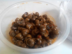 android_upload_pic-龙虾豆妮妮(商城路店)