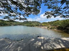 -深圳仙湖植物园