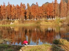 -贵阳市花溪国家城市湿地公园