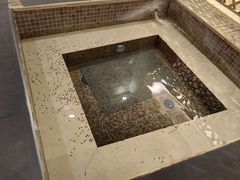 -中家鑫园温泉酒店鑫悦汤泉