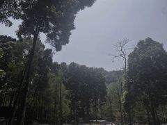 -青城山
