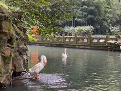 -兰亭风景区