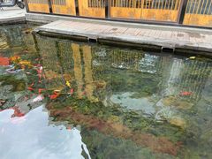 -泉乐坊步行街(烟酒特产平价超市店)