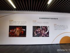 -Olé精品超市(重庆观音桥店)