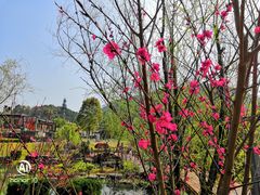 -桃花岭景区