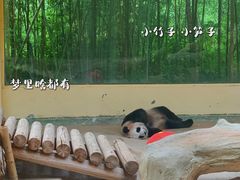 -杭州野生动物世界