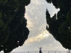 -小麦岛公园