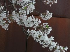 -龙美术馆(西岸馆)