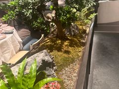 -谭厨中山传家菜.乳鸽.脆鲩鱼(华强北中航城店)