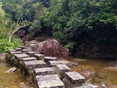 -广州白江湖森林公园