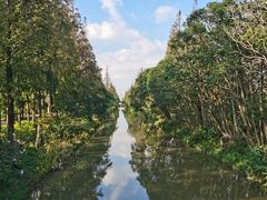 -上海长兴岛郊野公园