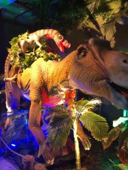 -恐龙探索乐园(磁器口店)