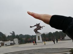 -铁山坪森林公园