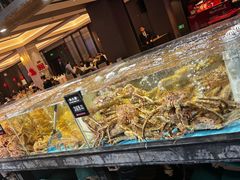 -紫阳海鲜楼·传承闽味(长乐路总店)