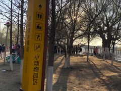 -长白岛森林公园