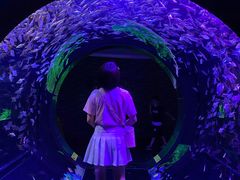 -成都浩海立方海洋公园