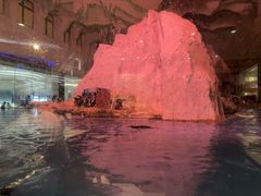 -帝企鹅自助餐厅•儿童岛•真企鹅(长隆企鹅酒店)