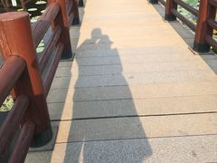 -长兴太湖图影湿地文化园