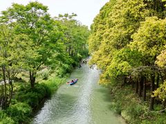 -动邦皮划艇·桨板·独木舟·团建户外运动俱乐部