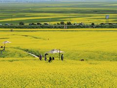 -扁都口生态休闲旅游区