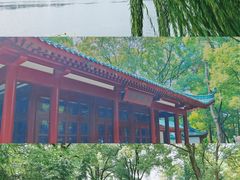 -东湖听涛景区