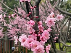 -静安雕塑公园