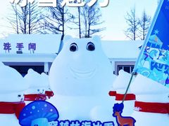 -汤旺河林海奇石景区