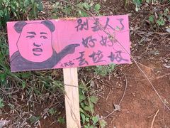 -长虫山生态公园风景林