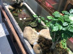 -秦九和(凯德广场店)