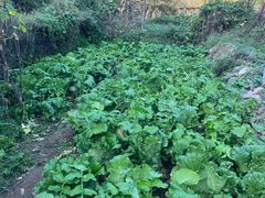 -百里峡七彩艺术小镇