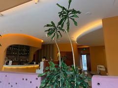 -美泰·Mangothai·清迈云街(天空之城店)