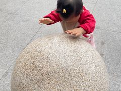 -哈尔滨太平国际机场-T2航站楼