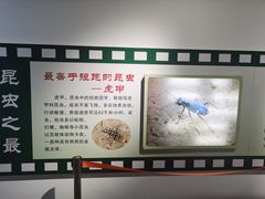 -上海昆虫博物馆