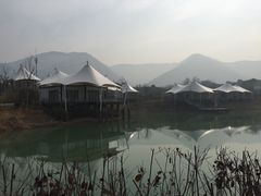 安吉帐篷客度假酒店-帐篷客·溪龙茶谷度假酒店