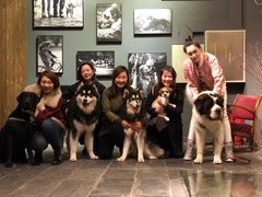 -百好乐宠物友好餐厅(朝外大街店)