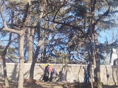 -观象山公园