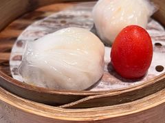 -茶港·点心·啫啫煲(王府井店)