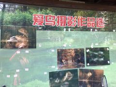 -新江湾城公园