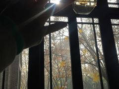 -也枫·小黄楼(南山路旗舰店)