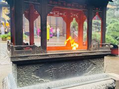 -普陀山风景名胜区-法雨禅寺