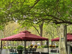 -唐廊烤鸭店(工体店)