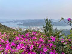 -梧桐山风景名胜区