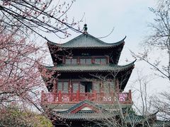 -堤角公园